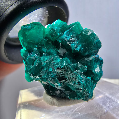 Seltene Dioptas XX Stufe, grün Republik Kongo 24*20*16mm