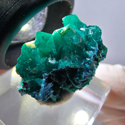 Seltene Dioptas XX Stufe, grün Republik Kongo 24*20*16mm