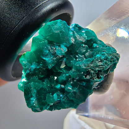 Seltene Dioptas XX Stufe, grün Republik Kongo 24*20*16mm