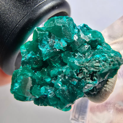 Seltene Dioptas XX Stufe, grün Republik Kongo 24*20*16mm