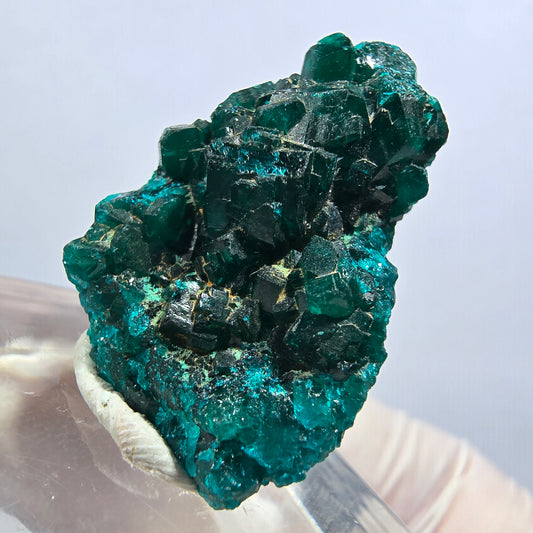 Seltene Dioptas XX Stufe, grün Republik Kongo 28*19*14mm