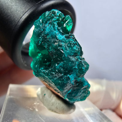 Seltene Dioptas XX Stufe, grün Republik Kongo 28*19*14mm