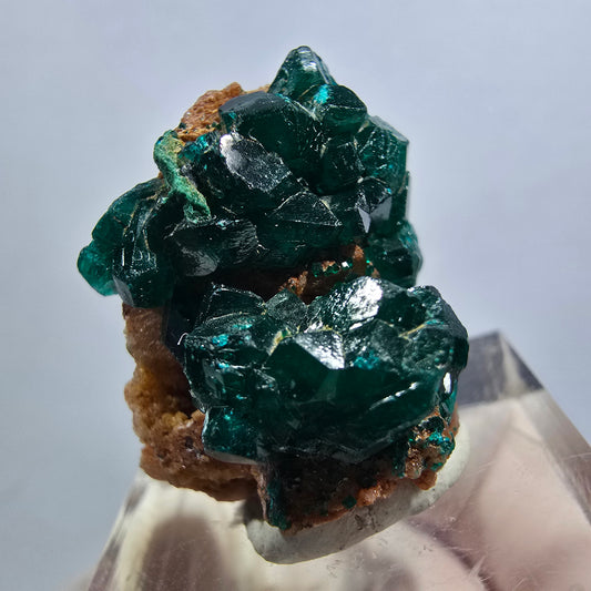 Seltene Dioptas auf Matrix Stufe, grün Republik Kongo 25*20*17mm