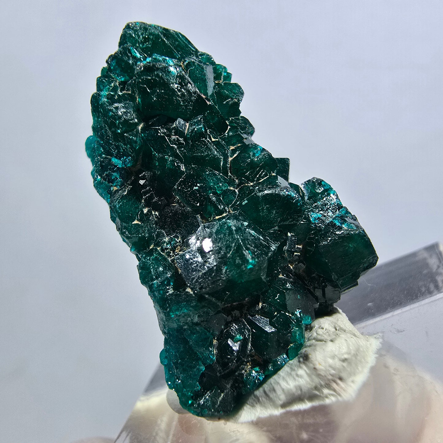 Seltene Dioptas XX Stufe, grün Republik Kongo 26*17*11mm