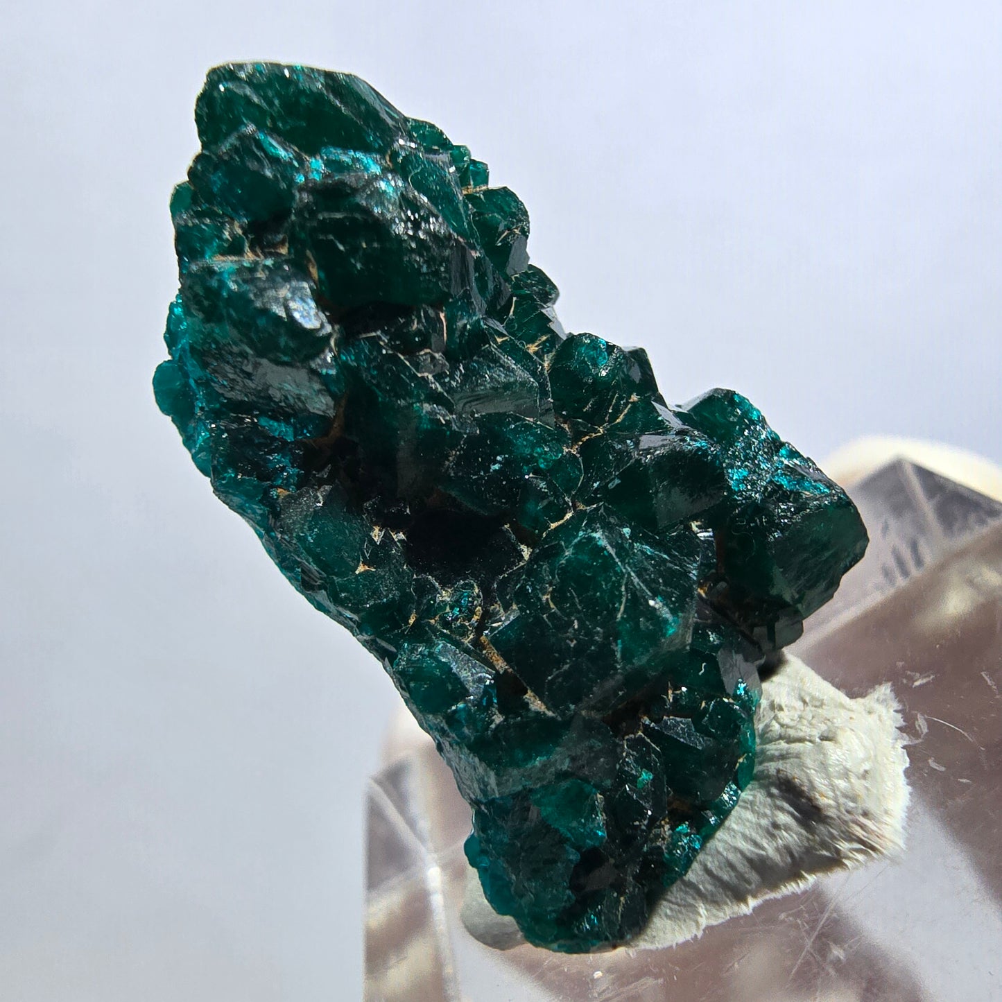 Seltene Dioptas XX Stufe, grün Republik Kongo 26*17*11mm