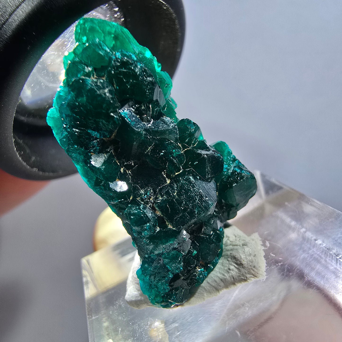 Seltene Dioptas XX Stufe, grün Republik Kongo 26*17*11mm