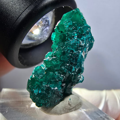 Seltene Dioptas XX Stufe, grün Republik Kongo 26*17*11mm