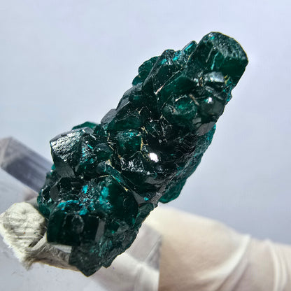 Seltene Dioptas XX Stufe, grün Republik Kongo 26*17*11mm