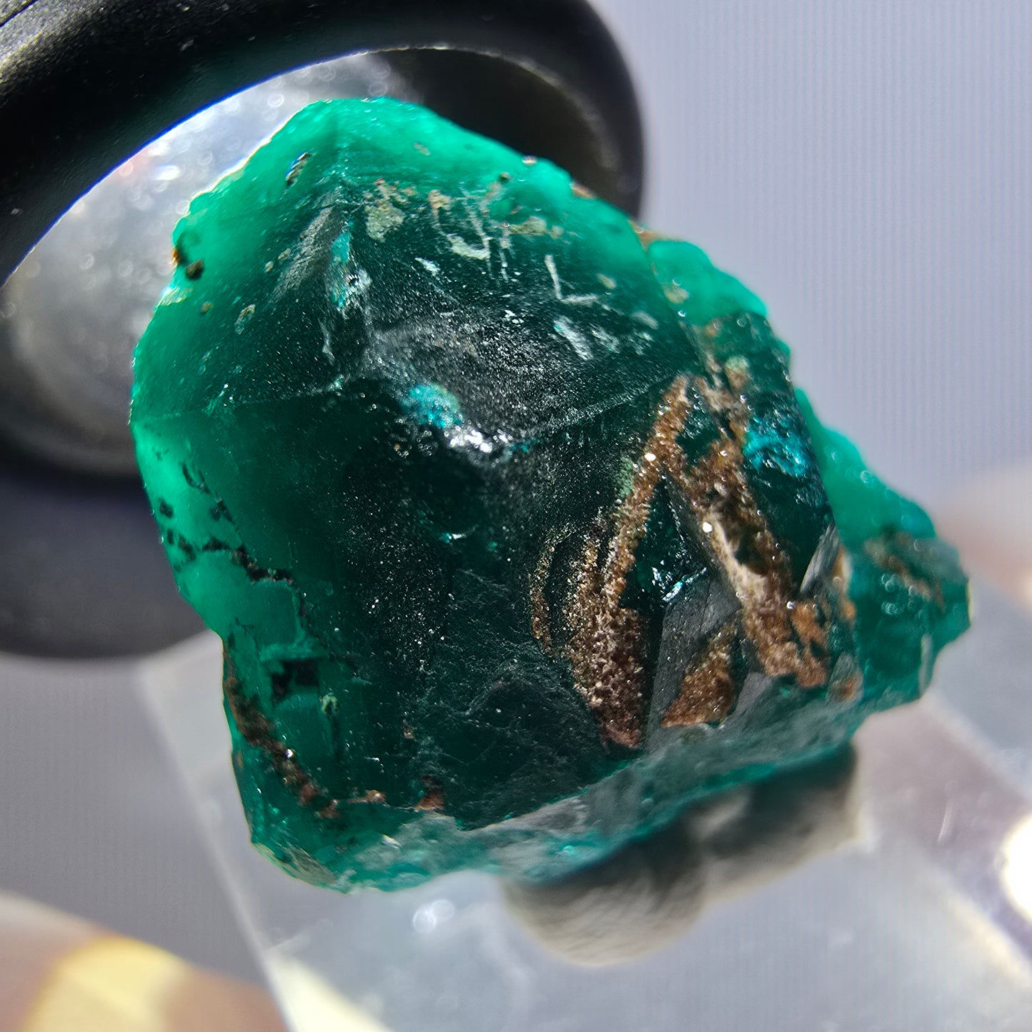 Seltene Dioptas XX Stufe, grün Republik Kongo 25*19*11mm