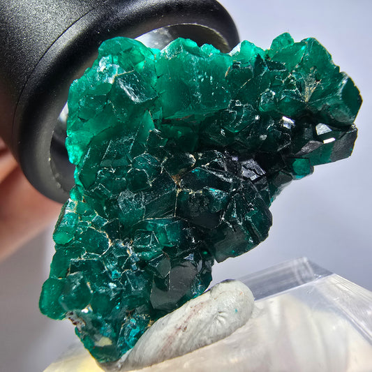 Seltene Dioptas XX Stufe, grün Republik Kongo 32*21*11mm