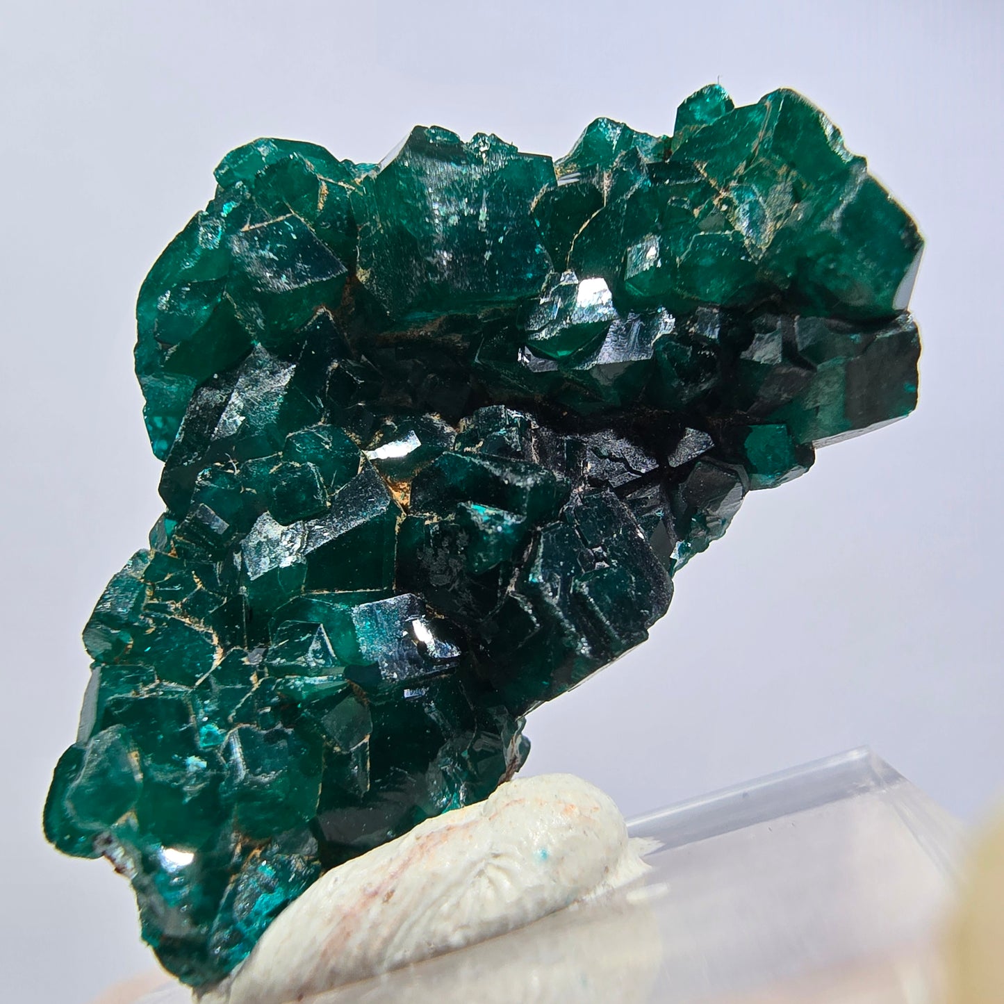 Seltene Dioptas XX Stufe, grün Republik Kongo 32*21*11mm