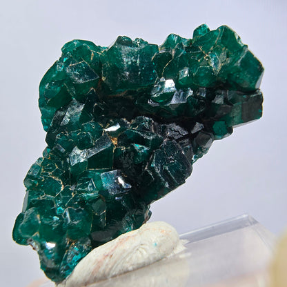 Seltene Dioptas XX Stufe, grün Republik Kongo 32*21*11mm