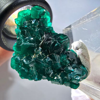 Seltene Dioptas XX Stufe, grün Republik Kongo 32*21*11mm