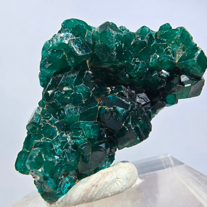 Seltene Dioptas XX Stufe, grün Republik Kongo 32*21*11mm