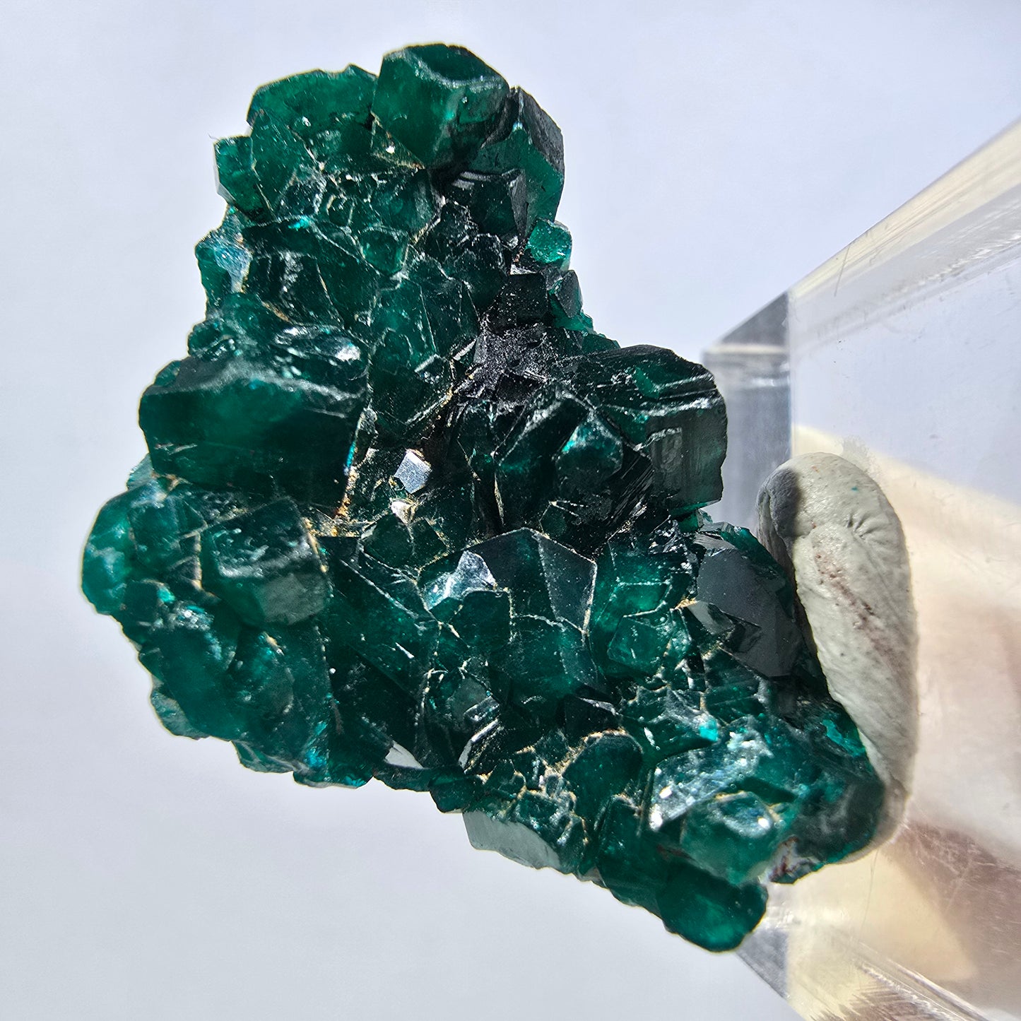 Seltene Dioptas XX Stufe, grün Republik Kongo 32*21*11mm