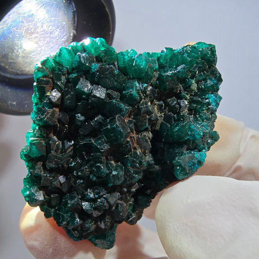 Seltene Dioptas auf Matrix Stufe, grün Republik Kongo 39*31*18mm