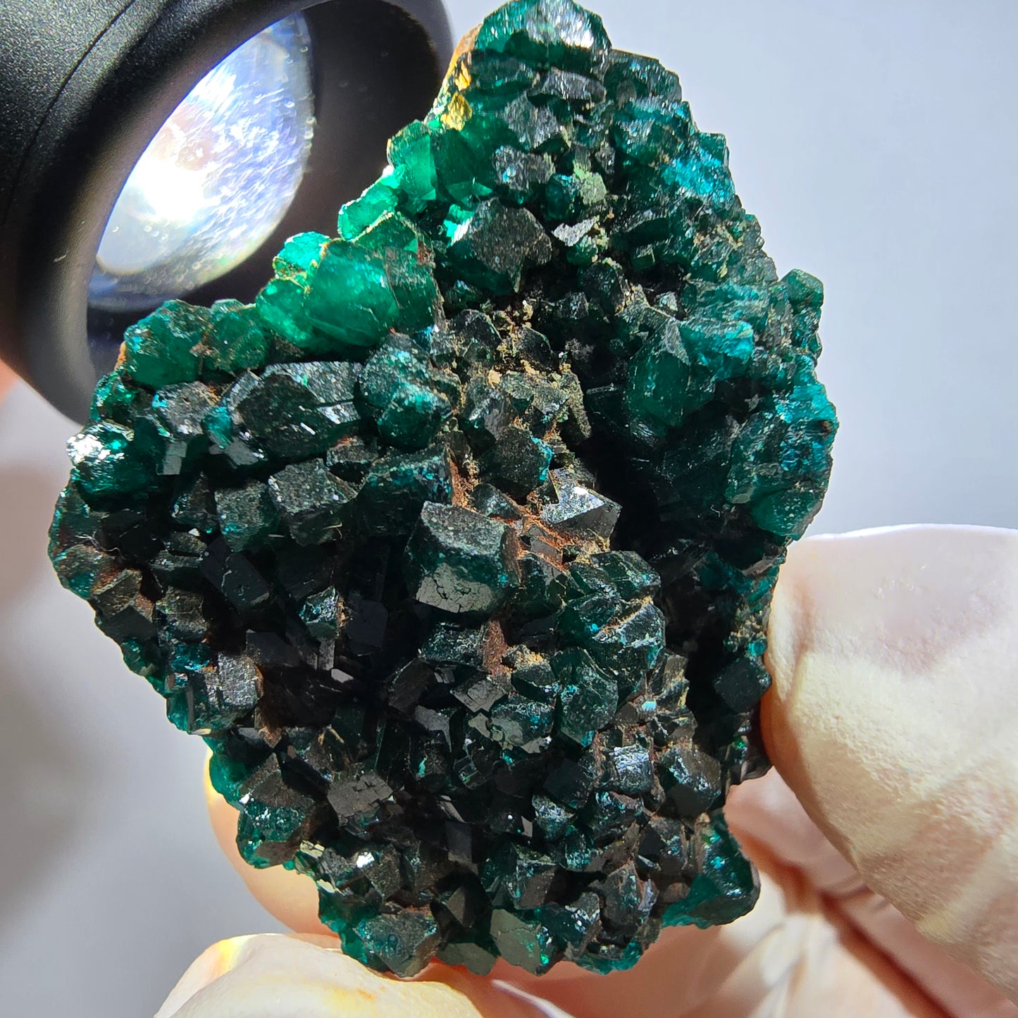 Seltene Dioptas auf Matrix Stufe, grün Republik Kongo 39*31*18mm