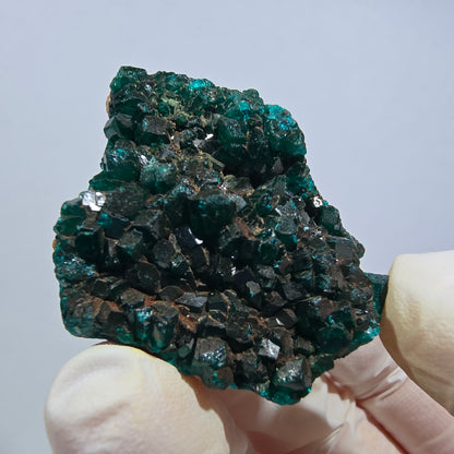 Seltene Dioptas auf Matrix Stufe, grün Republik Kongo 39*31*18mm