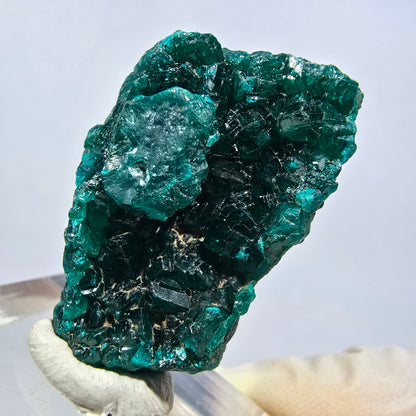 Seltene Dioptas XX Stufe, grün Republik Kongo 33*23*15mm