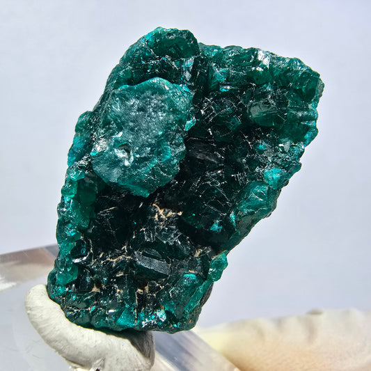 Seltene Dioptas XX Stufe, grün Republik Kongo 33*23*15mm