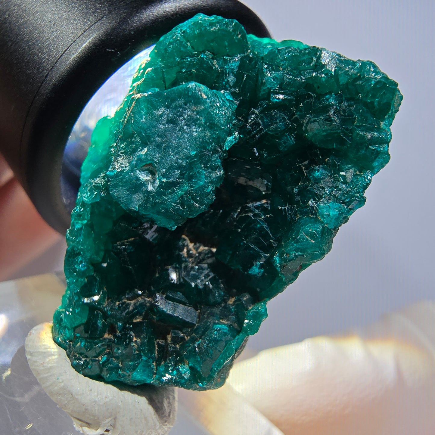 Seltene Dioptas XX Stufe, grün Republik Kongo 33*23*15mm