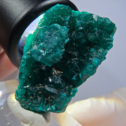 Seltene Dioptas XX Stufe, grün Republik Kongo 33*23*15mm