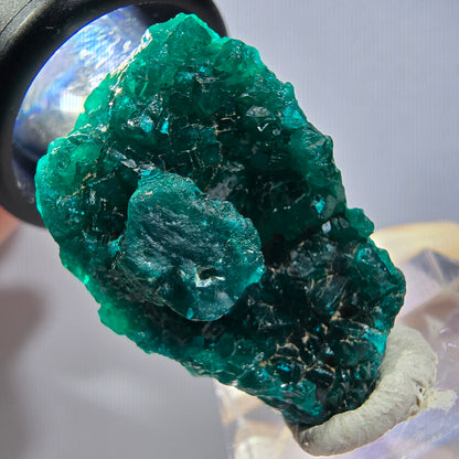 Seltene Dioptas XX Stufe, grün Republik Kongo 33*23*15mm