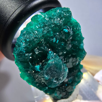 Seltene Dioptas XX Stufe, grün Republik Kongo 33*23*15mm