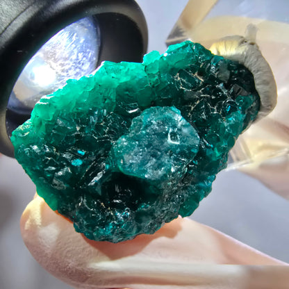 Seltene Dioptas XX Stufe, grün Republik Kongo 33*23*15mm