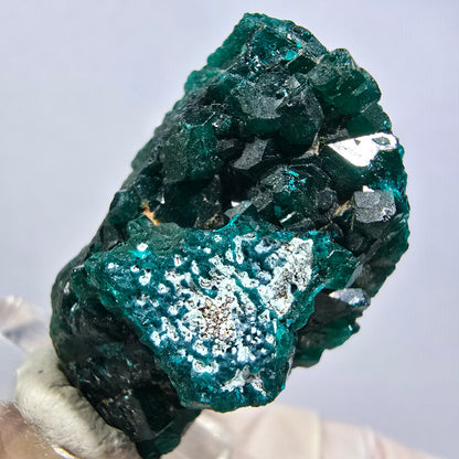 Seltene Dioptas XX Stufe, grün Republik Kongo 33*23*15mm