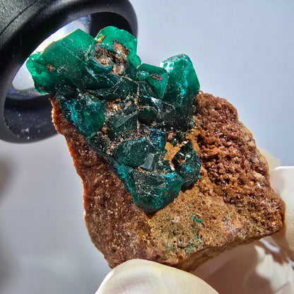 Seltene Dioptas auf Matrix Stufe, grün Republik Kongo 44*28*17mm