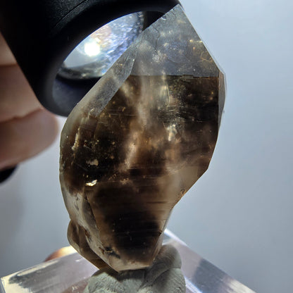 Rare Sceptre Squelette Fantôme Quartz Fumé Squelette Goboboseb, Namibie 39*24*18mm 