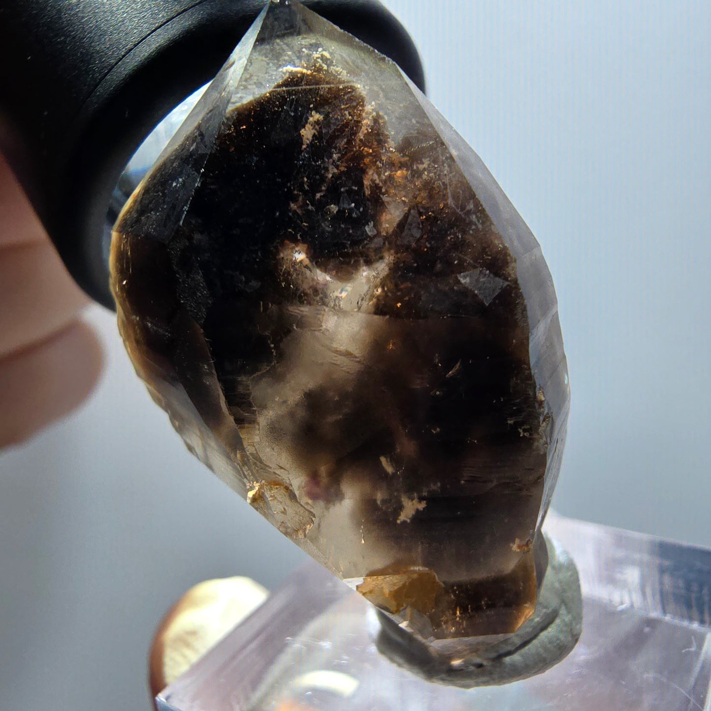 Rare Sceptre Squelette Fantôme Quartz Fumé Squelette Goboboseb, Namibie 39*24*18mm 