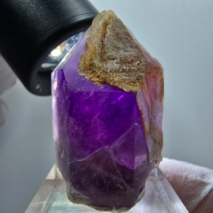 Pointe de sceptre fantôme en améthyste squelette rare, Goboboseb, Namibie, 37 x 26 x 21 mm