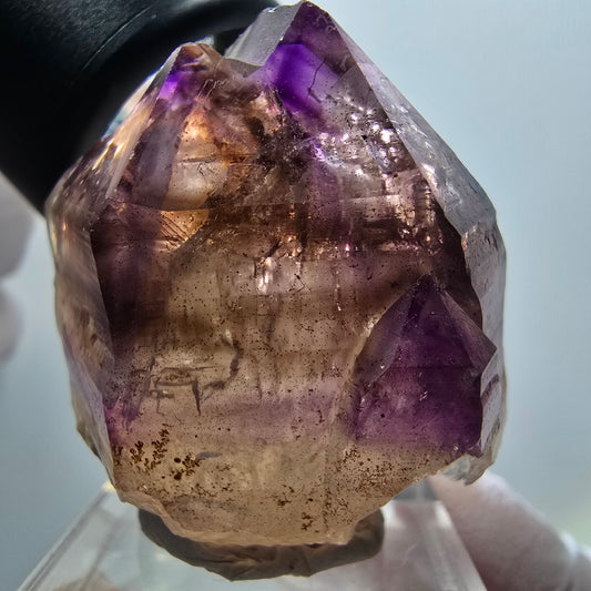 Seltene Skelett Phantom Amethyst Zepter Spitze Goboboseb, Namibia 37*36*29mm