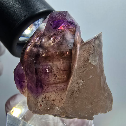 Seltene Skelett Phantom Amethyst Zepter Spitze Goboboseb, Namibia 37*36*29mm