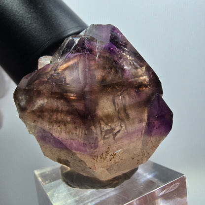 Seltene Skelett Phantom Amethyst Zepter Spitze Goboboseb, Namibia 37*36*29mm