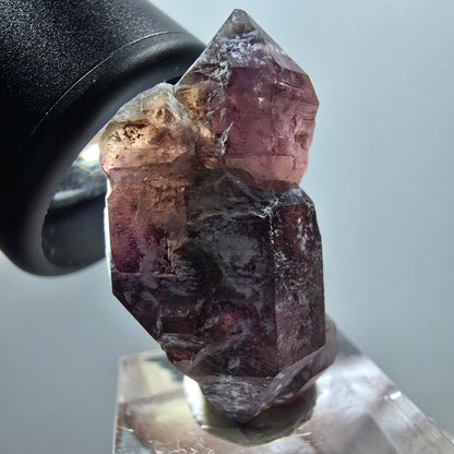 Rare Sceptre Squelette Fantôme Quartz Fumé Squelette Goboboseb, Namibie 36*22*15mm 