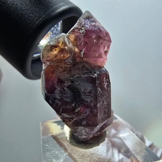 Seltene Skelett Phantom Rauchquarz DT Zepter Goboboseb, Namibia 36*22*15mm