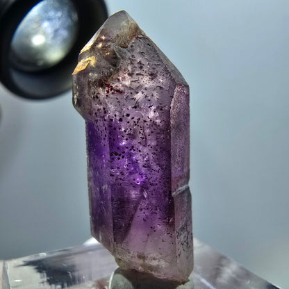 Pointe de sceptre en améthyste fantôme squelettique rare, Goboboseb, Namibie, 31 x 11 x 10 mm 