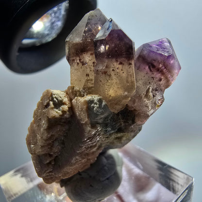 Seltene Skelett Phantom Amethyst Zepter auf Matrix Goboboseb, Namibia 31*21*16mm