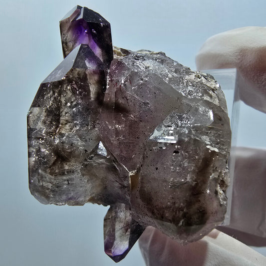 Seltene Skelett Phantom Amethyst DT Zepter Goboboseb, Namibia 44*32*26mm