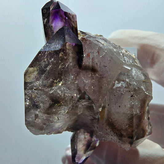 Seltene Skelett Phantom Amethyst DT Zepter Goboboseb, Namibia 44*32*26mm