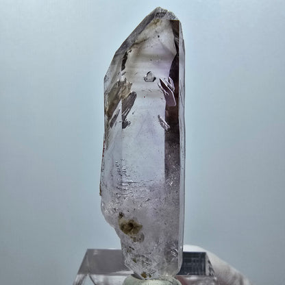 Seltene Skelett Phantom Amethyst DT Zepter Goboboseb, Namibia 50*15*13mm