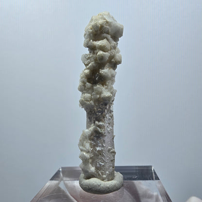 Seltener Phantom Amethyst mit Calcit Goboboseb, Namibia 42*9*7mm