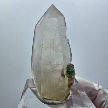 Phantom skeleton smoky quartz, fluorite, muscovite stage Erongo, Namibia 39*20*14mm 