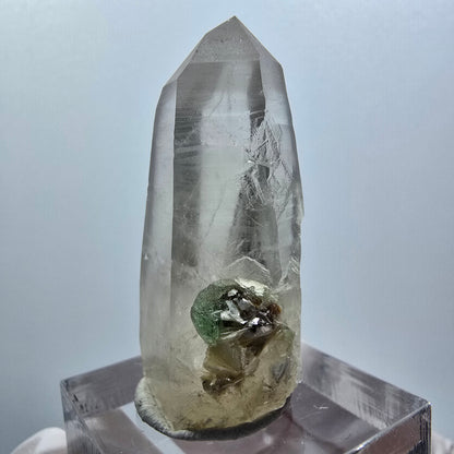 Phantom skeleton smoky quartz, fluorite, muscovite stage Erongo, Namibia 39*20*14mm 