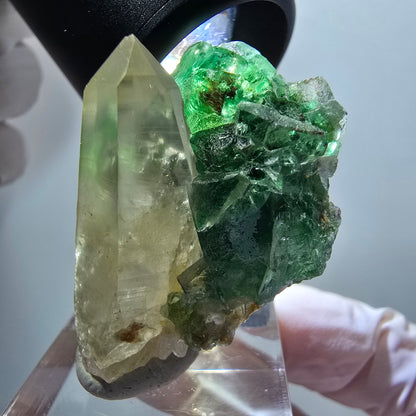 Phantom Fluorit, Skelett Rauchquarz, Muskovit Stufe Erongo, Namibia 36*25*25mm