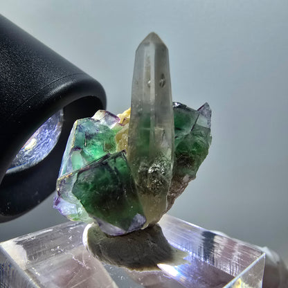 Phantom Fluorite Cube, Smoky Quartz, Muscovite Specimen Erongo, Namibia 28*20*17mm 