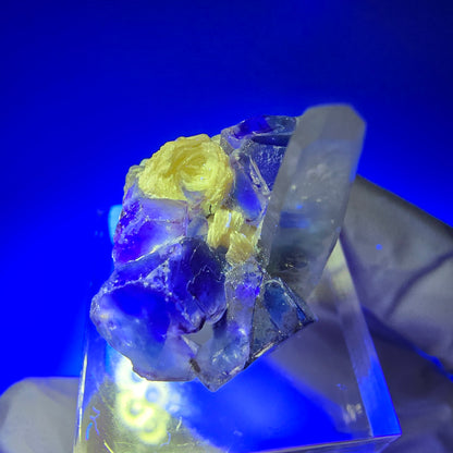 Phantom Fluorite Cube, Smoky Quartz, Muscovite Specimen Erongo, Namibia 28*20*17mm 